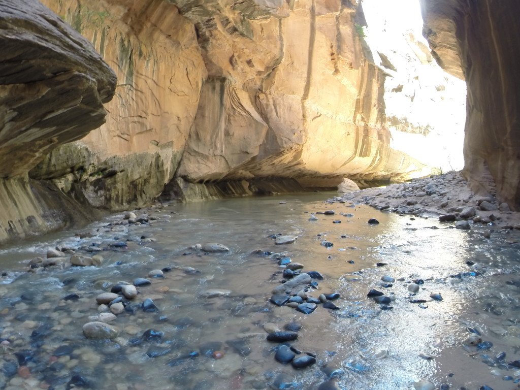 The Narrows hike in Zion National Park