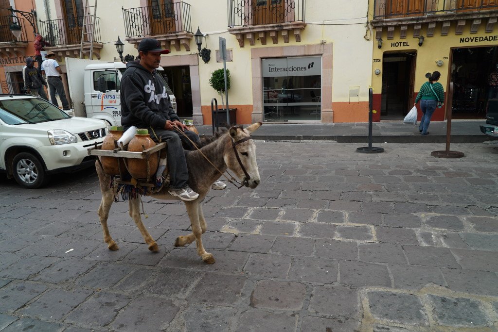 Delivery Donkey