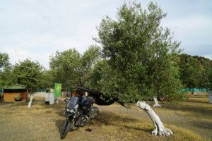 Assos Camp Ground