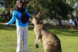 Kangaroo feeding at Bonorang Wildlife Sanctuary