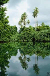 Scene from Matevulu Creek, Espirito Santo