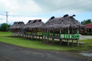 Samoan Fales